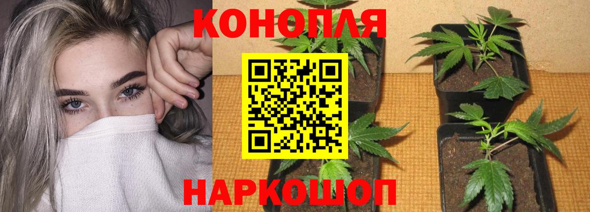 Шишки марихуана сатива  Конопля план  Каннабис LSD WEED  Дзержинск  Вход с VPN 